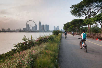 Steden voor fietsers: Singapore